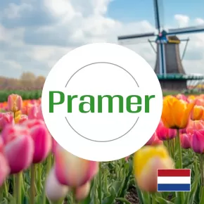 Order-picker, pracownik magazynu (Apeldoorn)